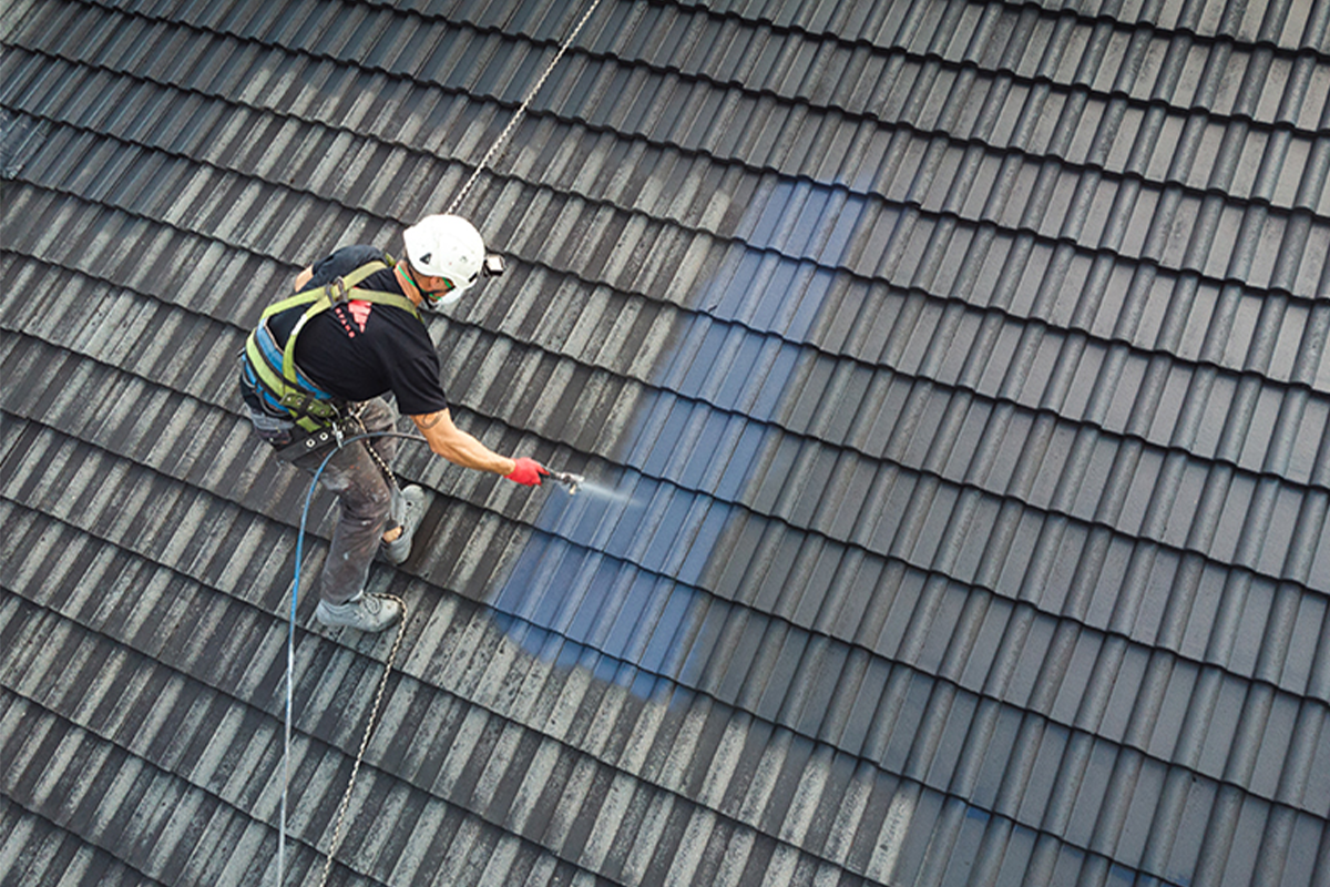 malowanie dachu z dachówki betonowej