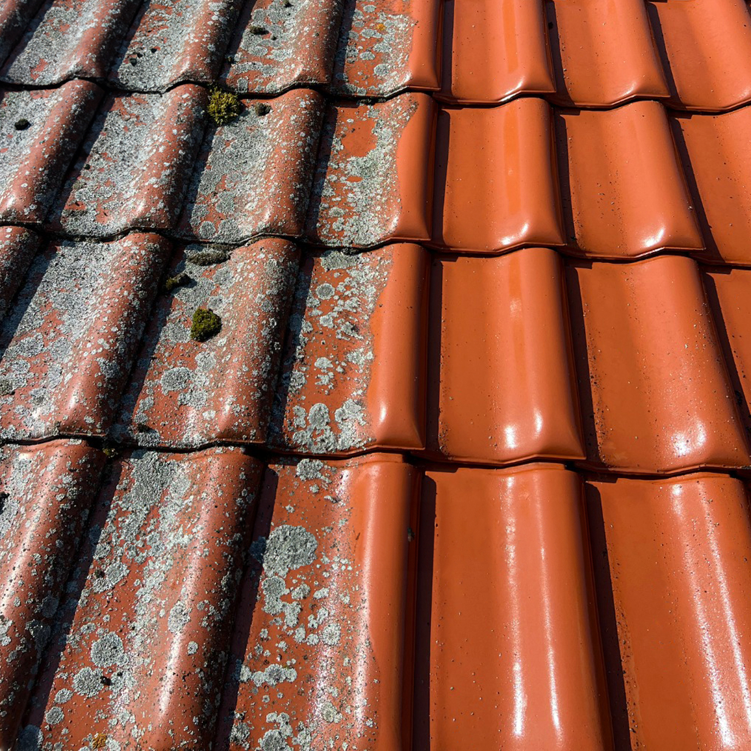 Czyszczenie dachu (efekt przed i po)