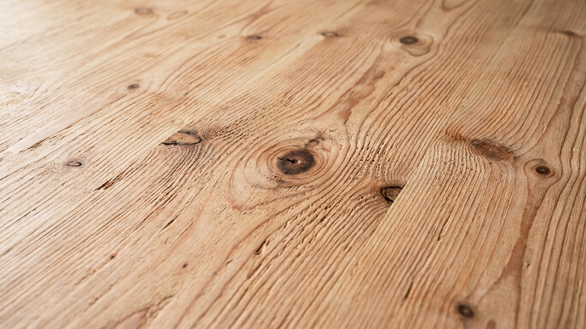 drewno surowe ivo wood Impregnat gruntujący do drewna